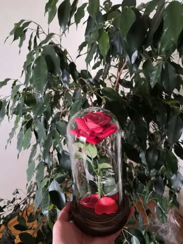 Wieczna Róża Aurelis w Szkle LED - Idealny Prezent photo review